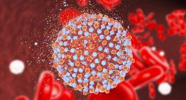 Hepatit C tedavi edilmezse karaciğer kanserine yol açabilir