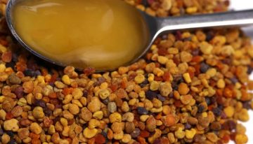 Kanser hastalarının yeni umudu: Propolis
