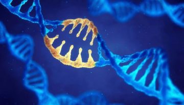 Hem virüse hem kişilerin DNA’sına müdahale ederek hastalıkları önlemek mümkün!
