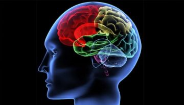 Apandisiti alınan kişilerde Parkinson riski!