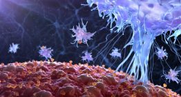 Kanser hücrelerinin nasıl hayatta kaldıkları keşfedildi