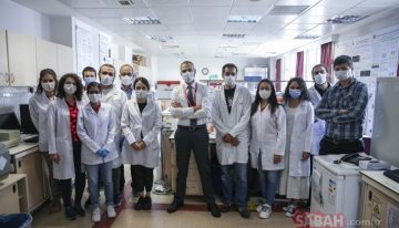 Türk bilim insanları kanserle savaşacak “uyuyan hücrelerin” şifrelerini keşfetti